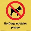 no-dogs-upstairs-please-~